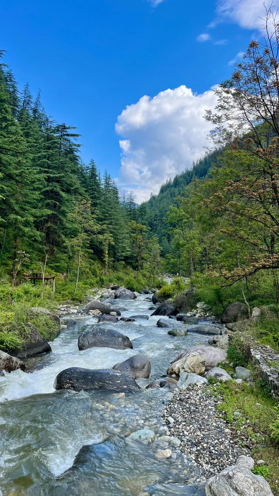 Complete Himachal Grand Tour Himachal package