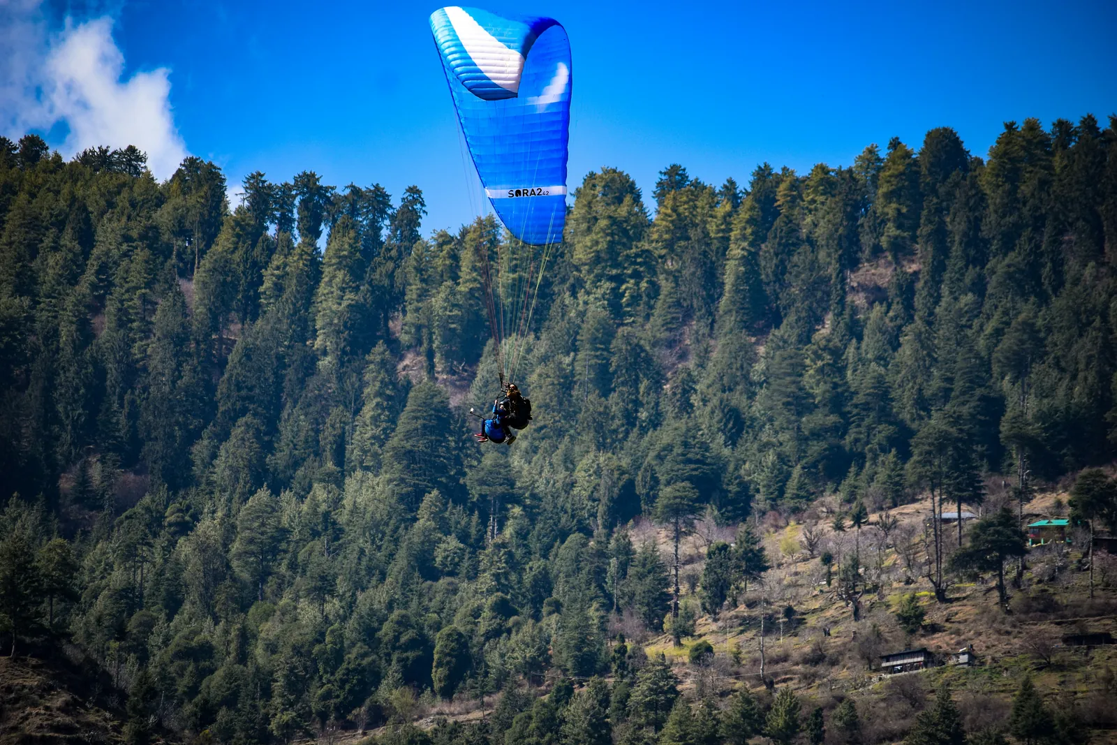 Barot Valley Offbeat Himachal package
