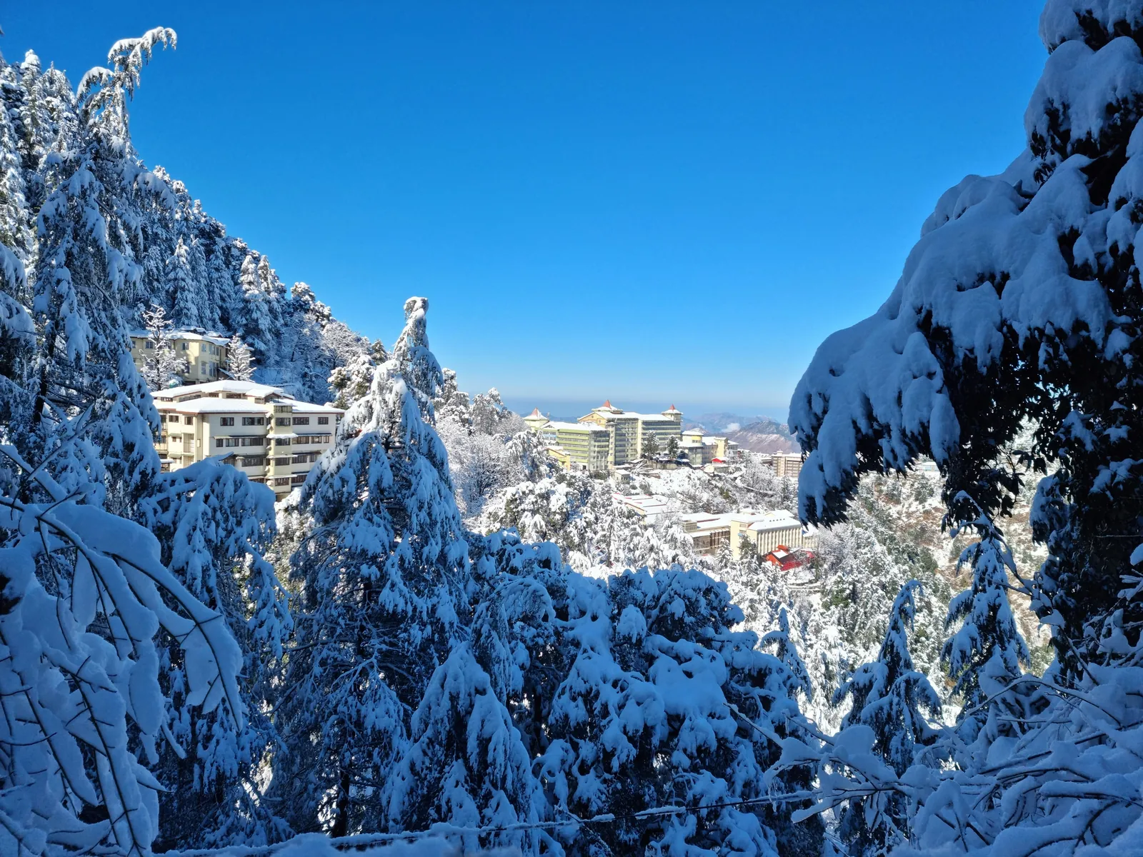 Solan Shimla Escape Himachal package