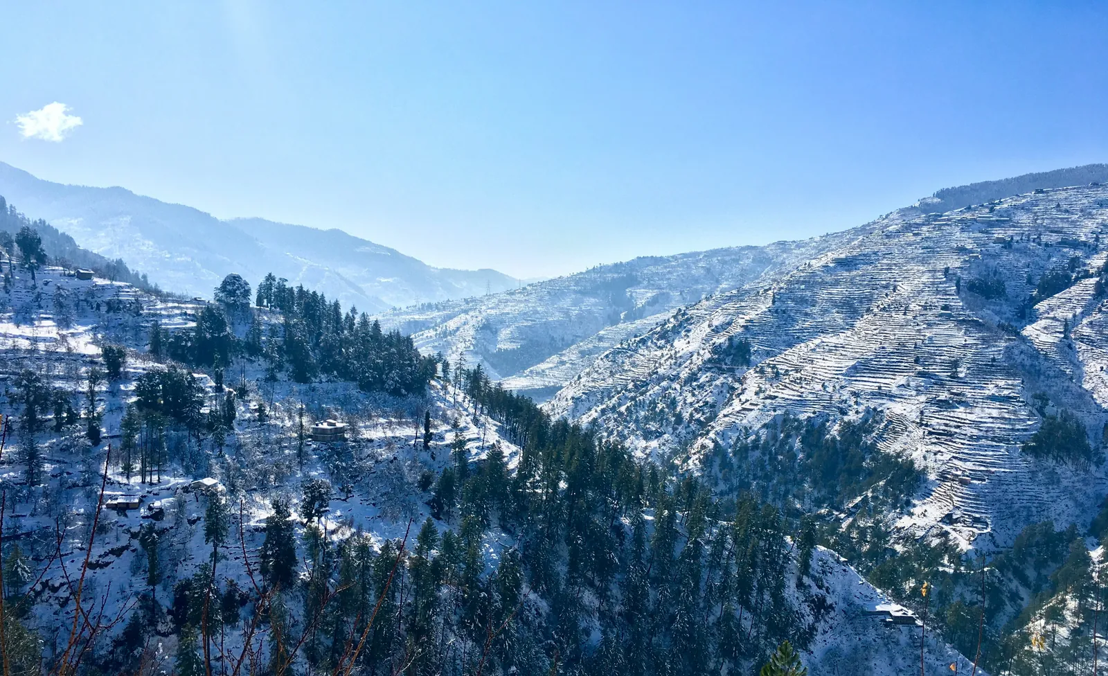 Kasauli Parwanoo Himachal package