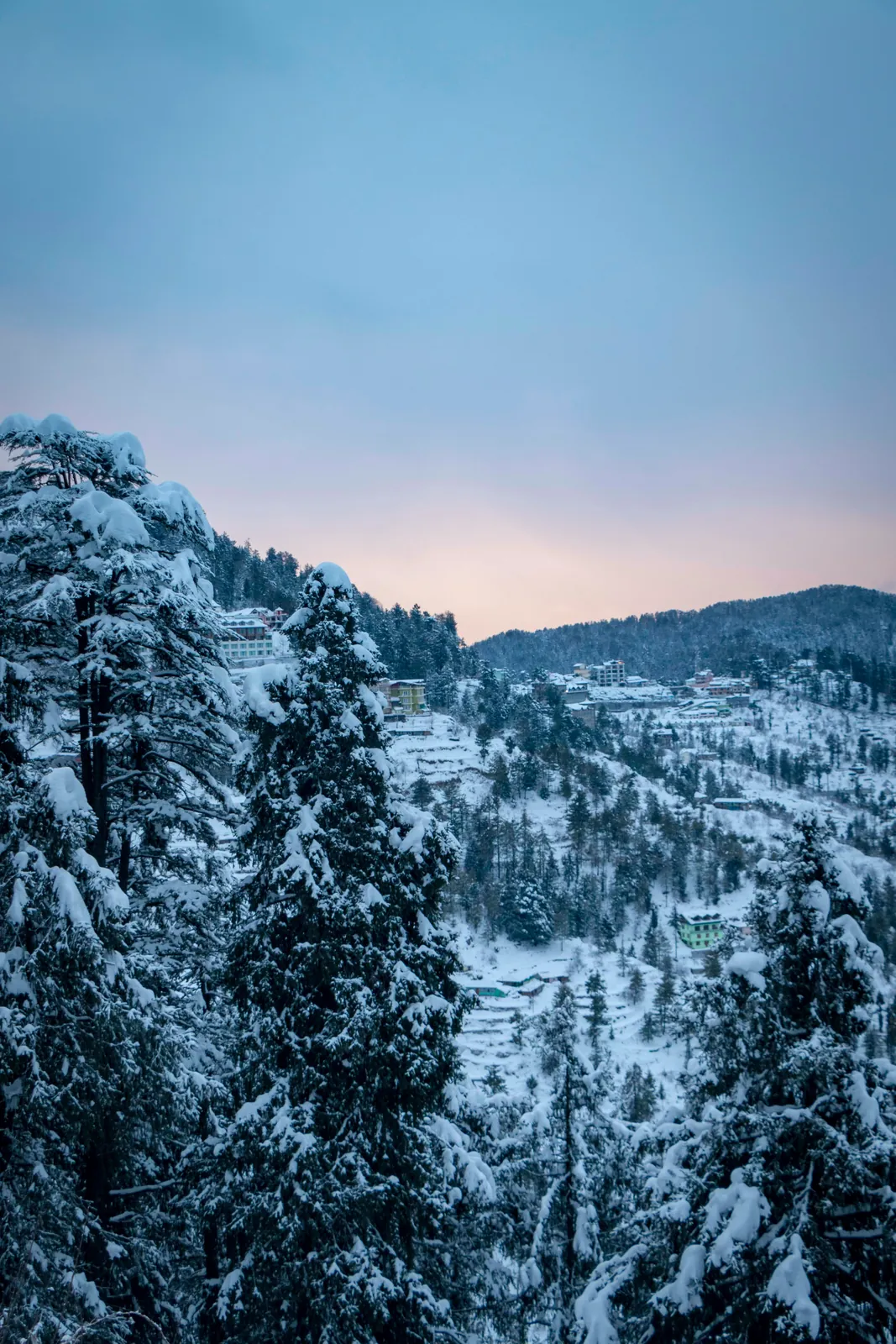 Shimla: Explore Kufri Himachal package